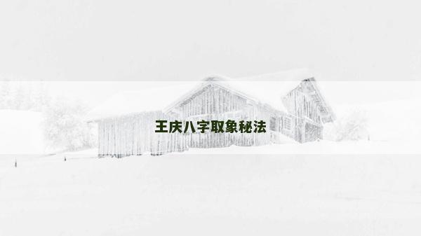 王慶八字取象秘法