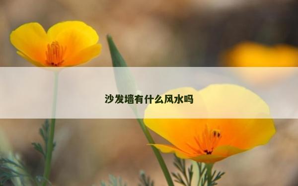 沙發墻有什么風水嗎 沙發墻有什么風水嗎