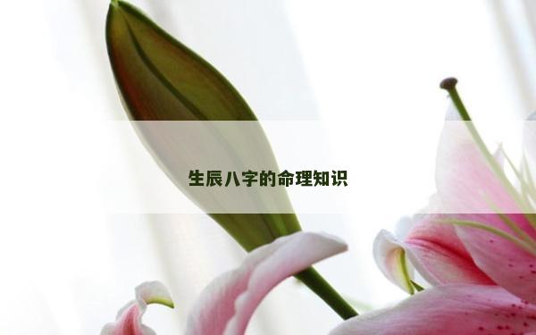 生辰八字的命理知識(shí)