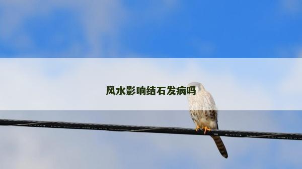 風水影響結石發病嗎