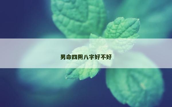 男命四陰八字好不好