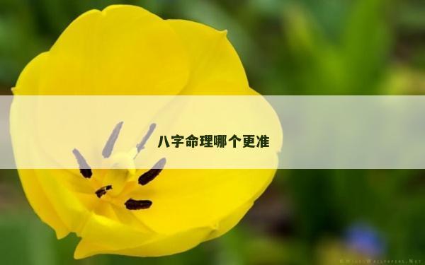 八字命理哪個更準