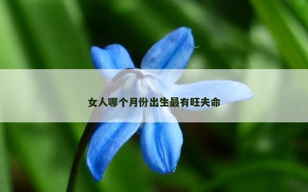 女人哪個月份出生最有旺夫命 女人哪個月份出生最有旺夫命