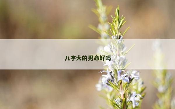 八字大的男命好嗎