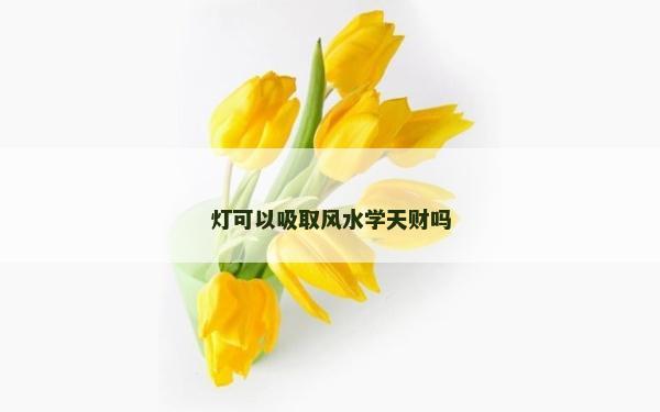 燈可以吸取風水學天財嗎