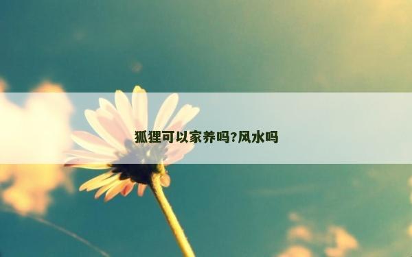 狐貍可以家養嗎?風水嗎 狐貍可以家養嗎?風水嗎