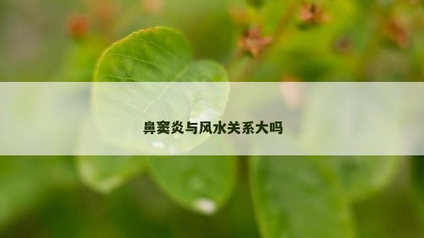 鼻竇炎與風水關系大嗎