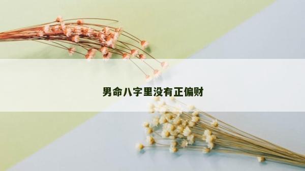 男命八字里沒有正偏財