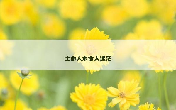 土命人木命人迷茫