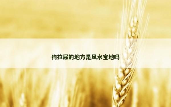 狗拉尿的地方是風水寶地嗎