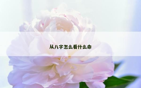 從八字怎么看什么命