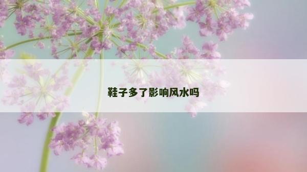 鞋子多了影響風水嗎
