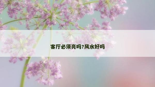 客廳必須亮嗎?風水好嗎