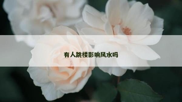 有人跳樓影響風(fēng)水嗎