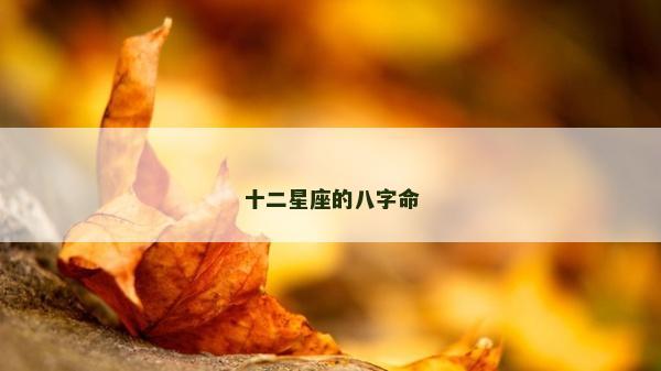 十二星座的八字命