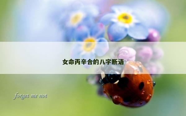 女命丙辛合的八字?jǐn)嗾Z