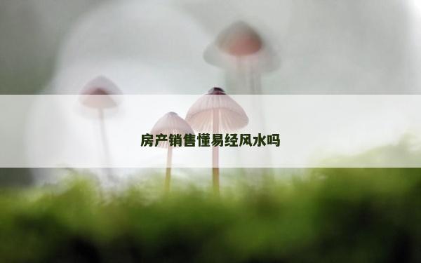 房產(chǎn)銷售懂易經(jīng)風(fēng)水嗎