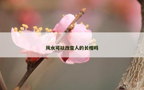風水可以改變人的長相嗎