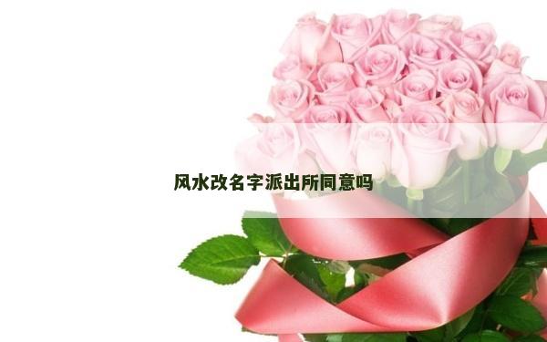 風水改名字派出所同意嗎
