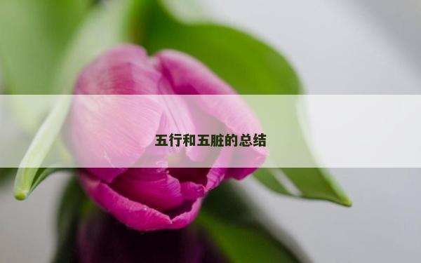 五行和五臟的總結(jié)