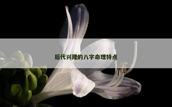 后代興隆的八字命理特點