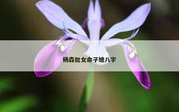 楊森批女命子媳八字