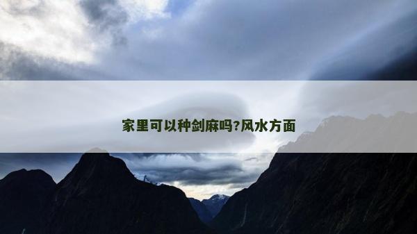 家里可以種劍麻嗎?風(fēng)水方面