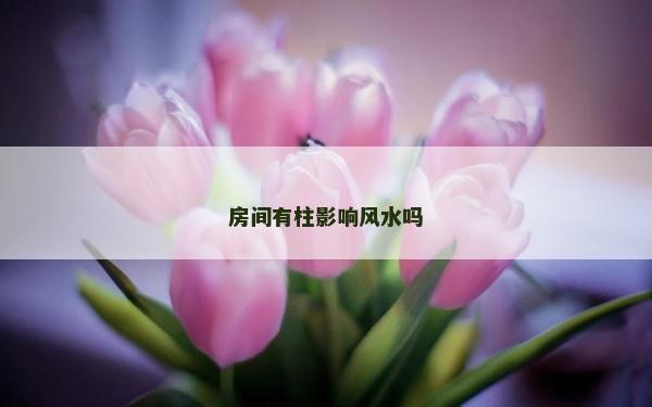房間有柱影響風(fēng)水嗎 房間有柱影響風(fēng)水嗎