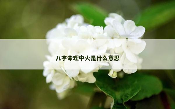 八字命理中火是什么意思