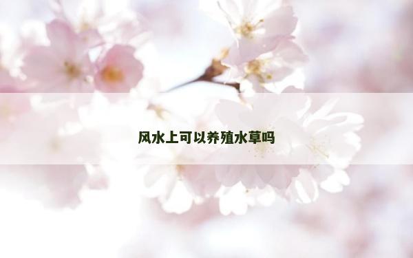 風水上可以養(yǎng)殖水草嗎