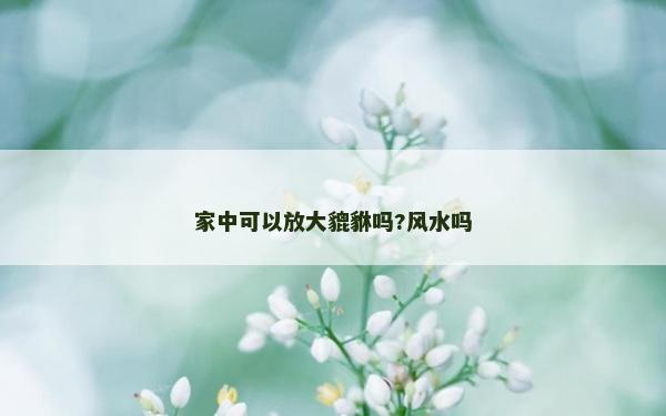家中可以放大貔貅嗎?風水嗎