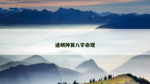 通明神算八字命理