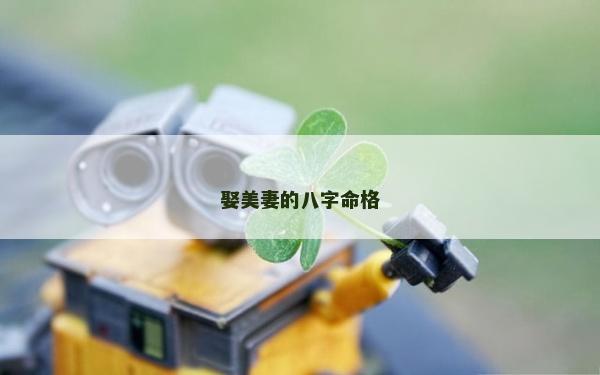 娶美妻的八字命格