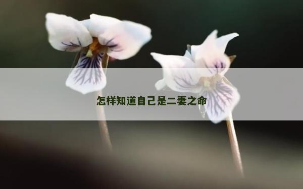 怎樣知道自己是二妻之命