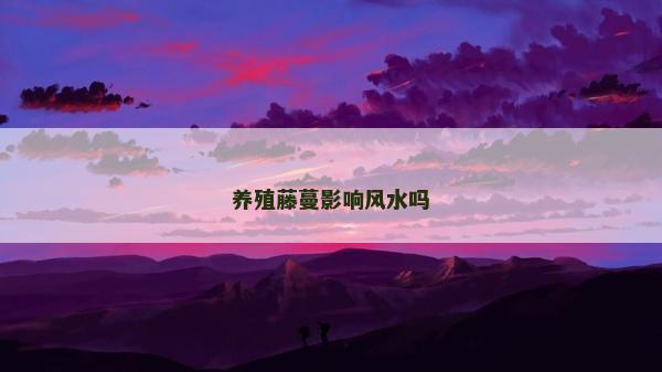 養(yǎng)殖藤蔓影響風(fēng)水嗎