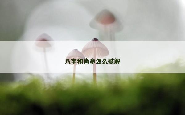 八字和尚命怎么破解