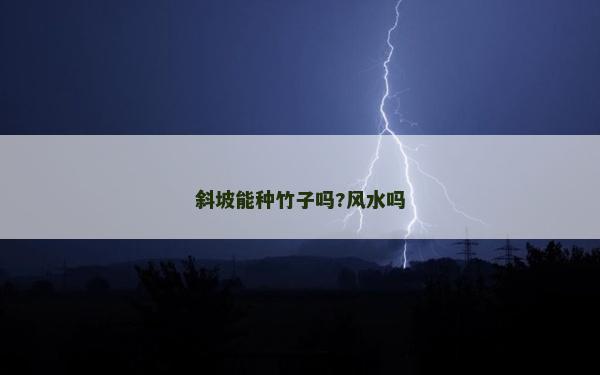 斜坡能種竹子嗎?風水嗎