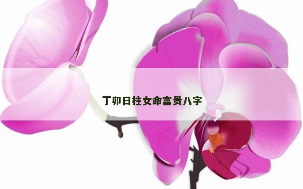 丁卯日柱女命富貴八字