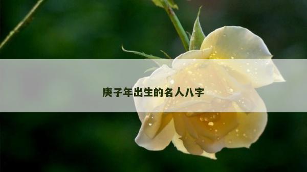 庚子年出生的名人八字