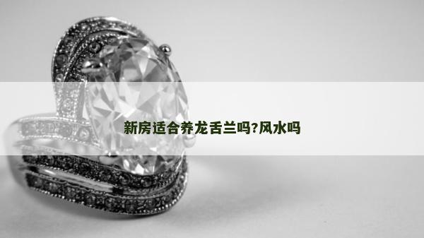 新房適合養龍舌蘭嗎?風水嗎