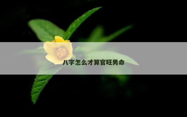 八字怎么才算官旺男命
