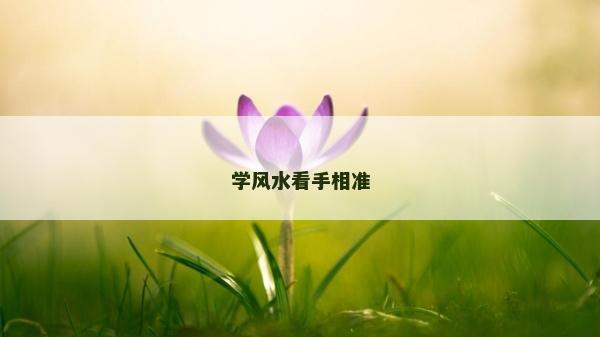 學風水看手相準