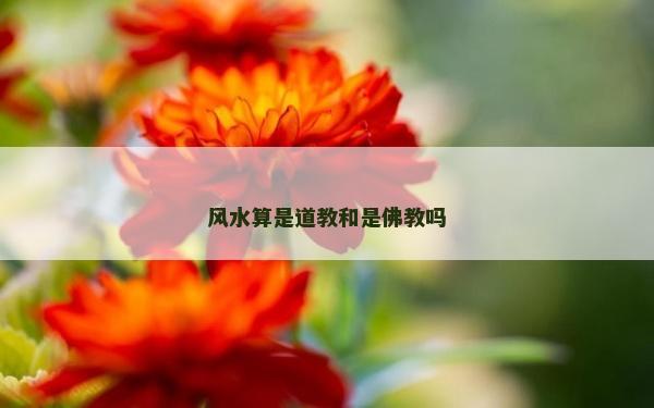 風(fēng)水算是道教和是佛教嗎