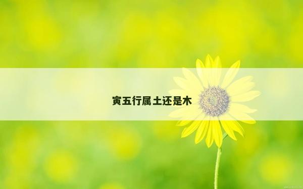 寅五行屬土還是木
