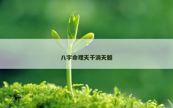 八字命理天干滴天髓