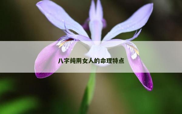 八字純陰女人的命理特點 八字純陰女人的命理特點