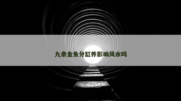 九條金魚分缸養影響風水嗎
