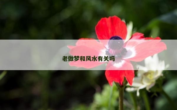 老做夢和風水有關嗎