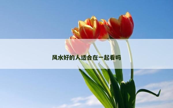 風(fēng)水好的人適合在一起看嗎