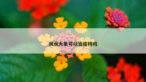 風水大象可以當座椅嗎
